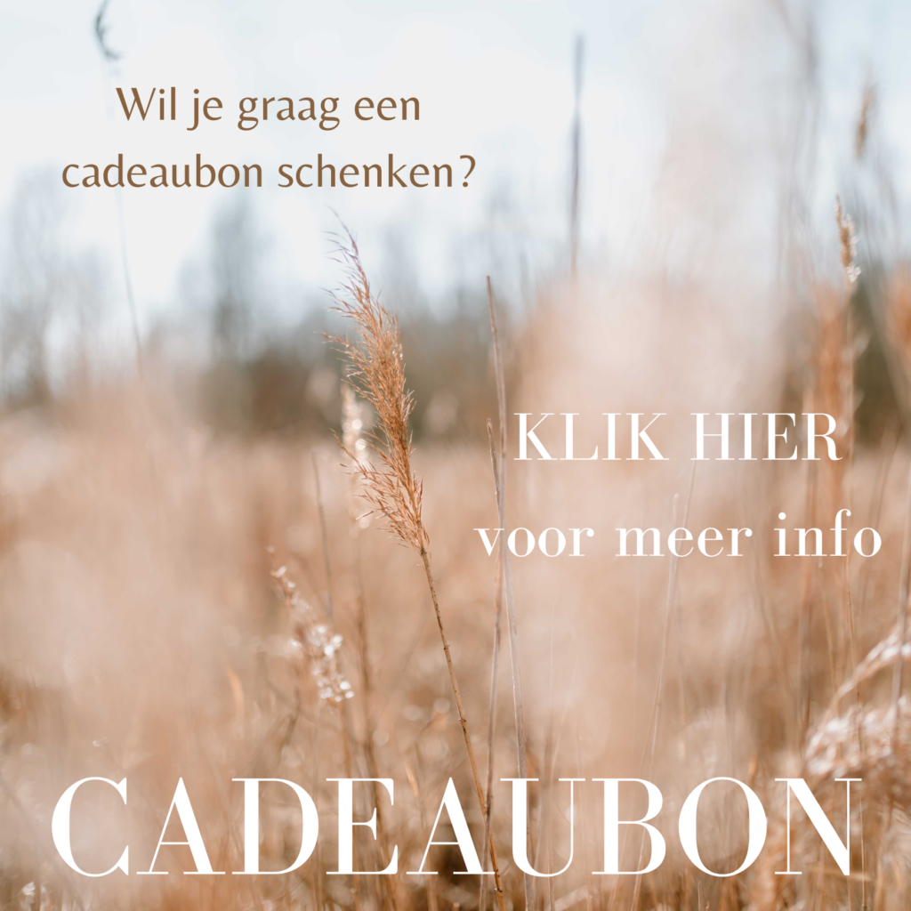 Cadeaubon fotograaf Beveren. Foto in rietveld